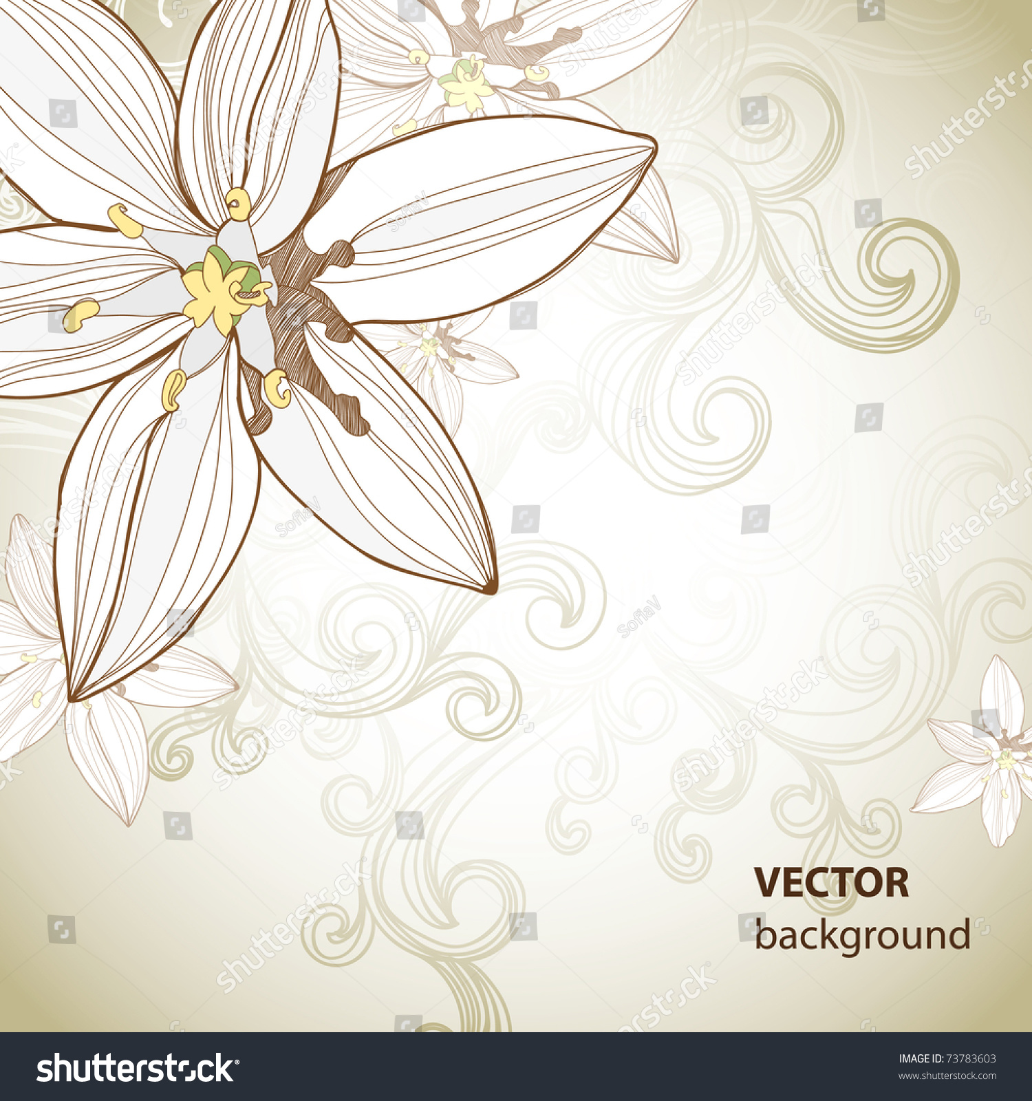 Floral Background Flowers Swirls Stock Vector 73783603 - Shutterstock