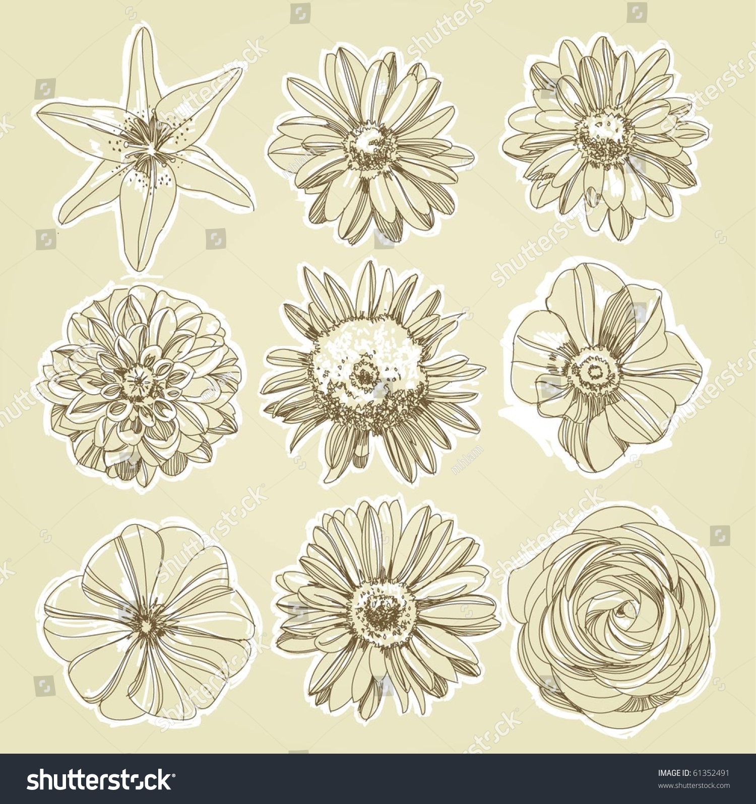 Flower Illustration Stock Vector 61352491 - Shutterstock