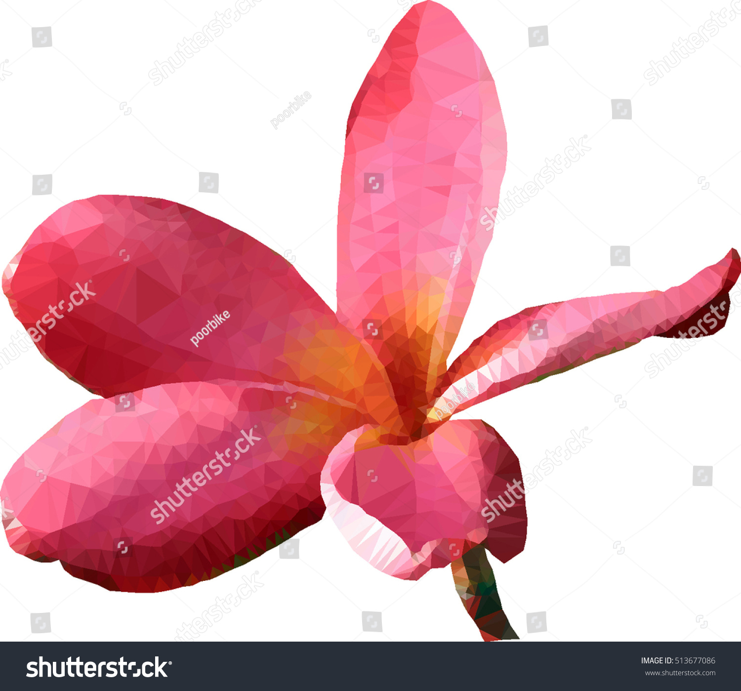 Flower Vector Design - 513677086 : Shutterstock