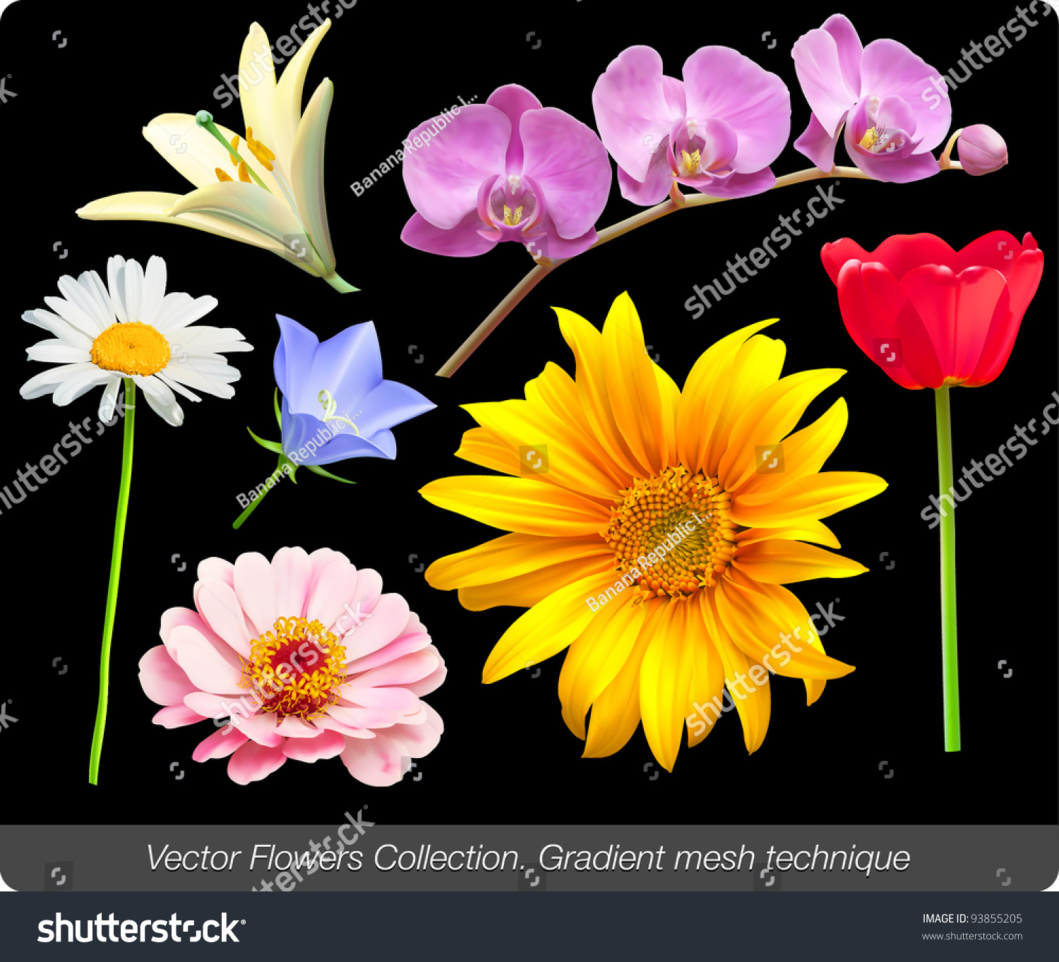 Flower Vector Set Stock Vector 93855205 - Shutterstock