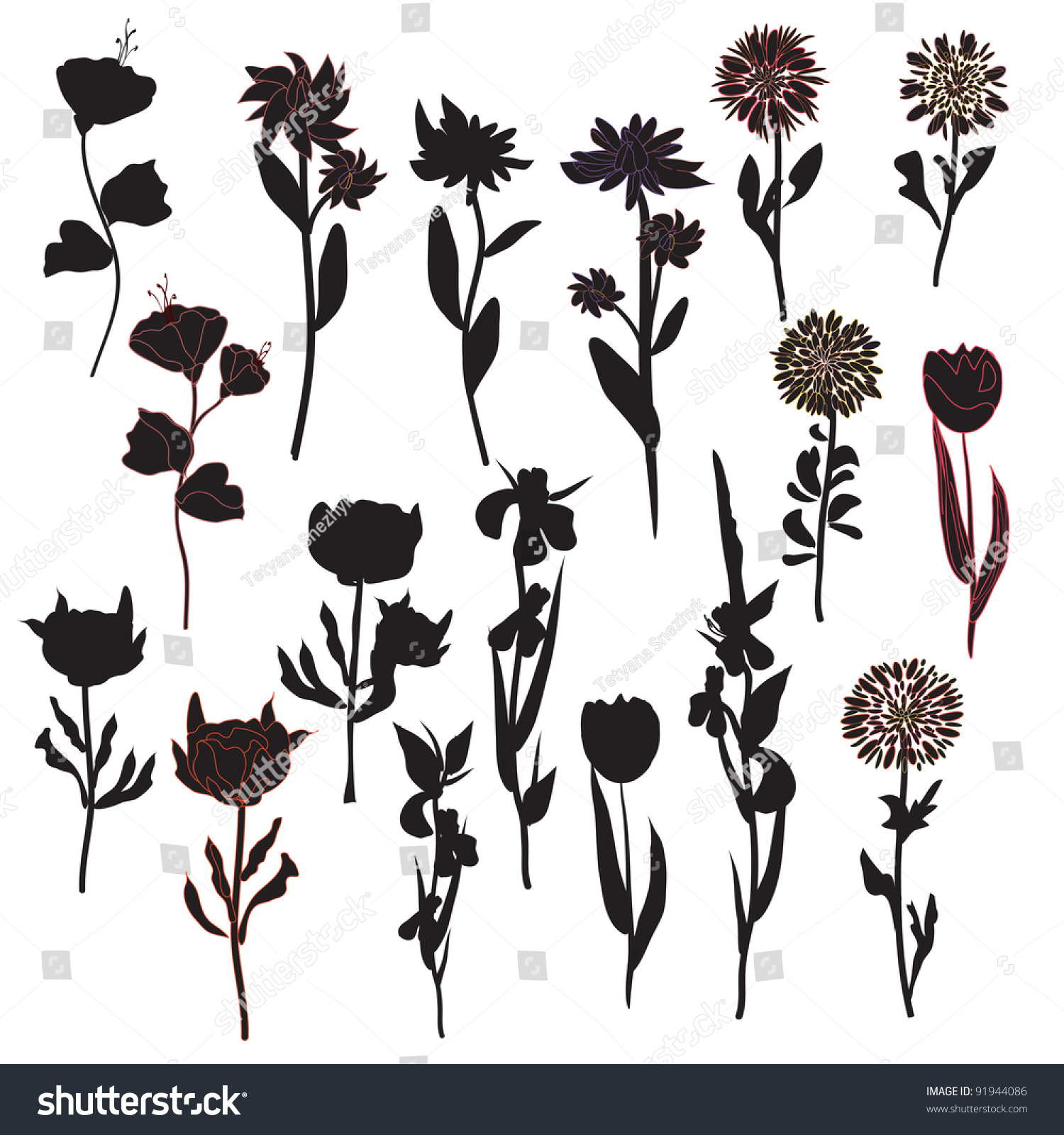 Flowers Silhouette Set In Black Stock Vector Illustration 91944086
