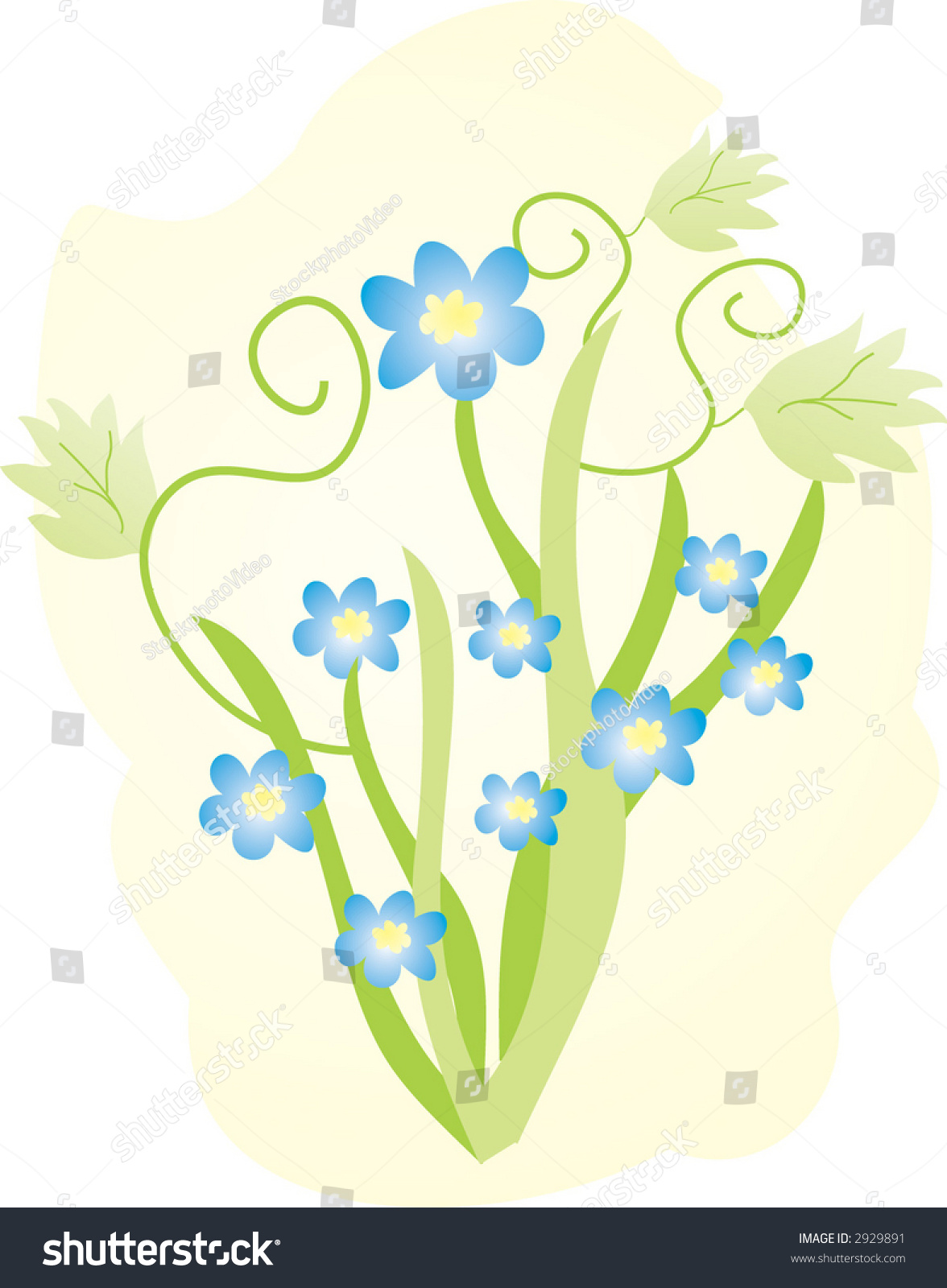 Forget-Me-Not Flowers, Vector - 2929891 : Shutterstock