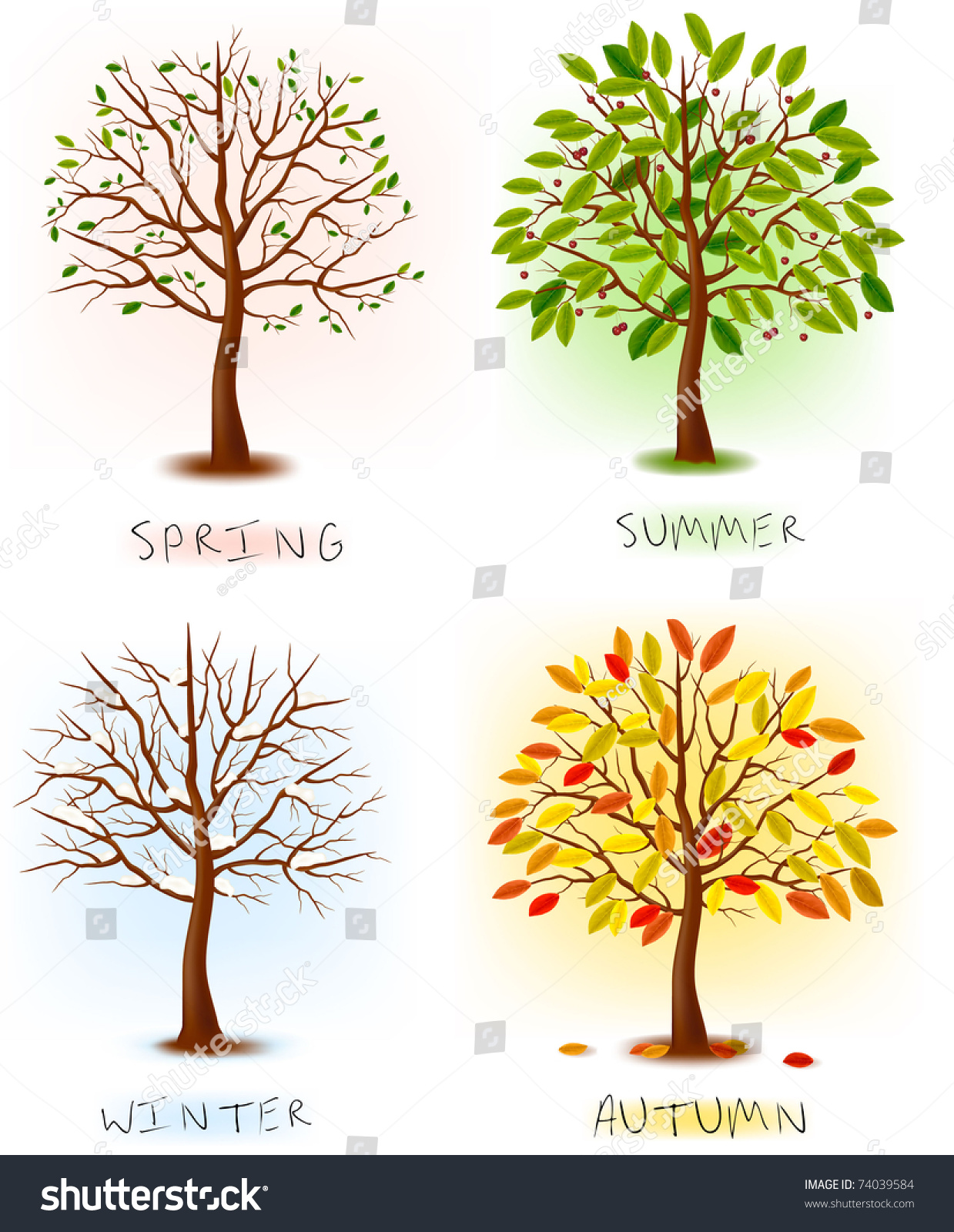 Spring Summer Autumn Winter : Color Symbols Of Spring, Summer, Autumn