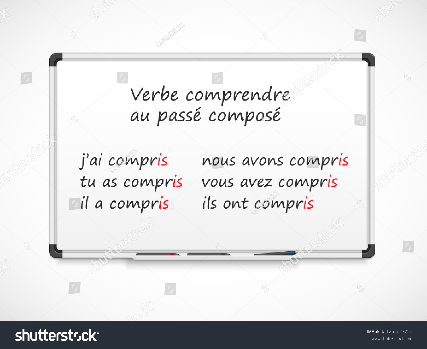 French Grammar Verbs Conjugation Verb Comprendre Stock Vector Royalty Free