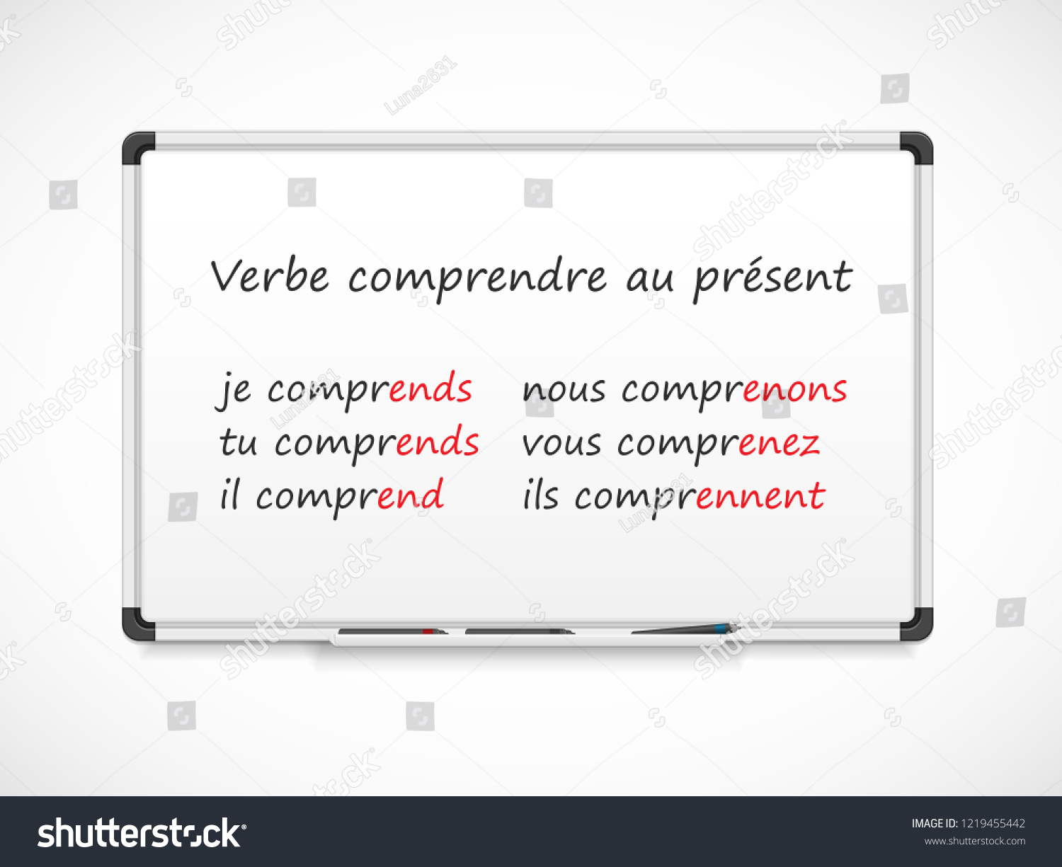 French Grammar Verbs Conjugation Verb Comprendre Stock Vector Royalty Free