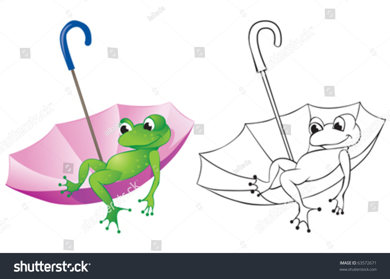 Frog Floats Sitting In An Umbrella Color And Contour Drawing Stock