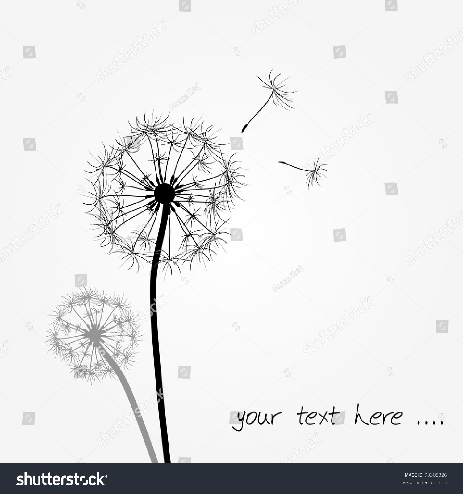 dandelion tattoo design illustrations dandelion tattoo design illustrations