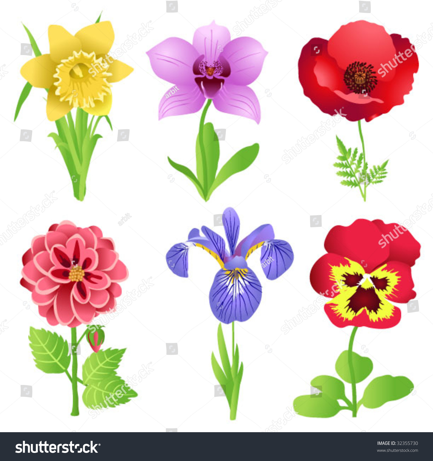 Garden Flowers Stock Vector Illustration 32355730 : Shutterstock