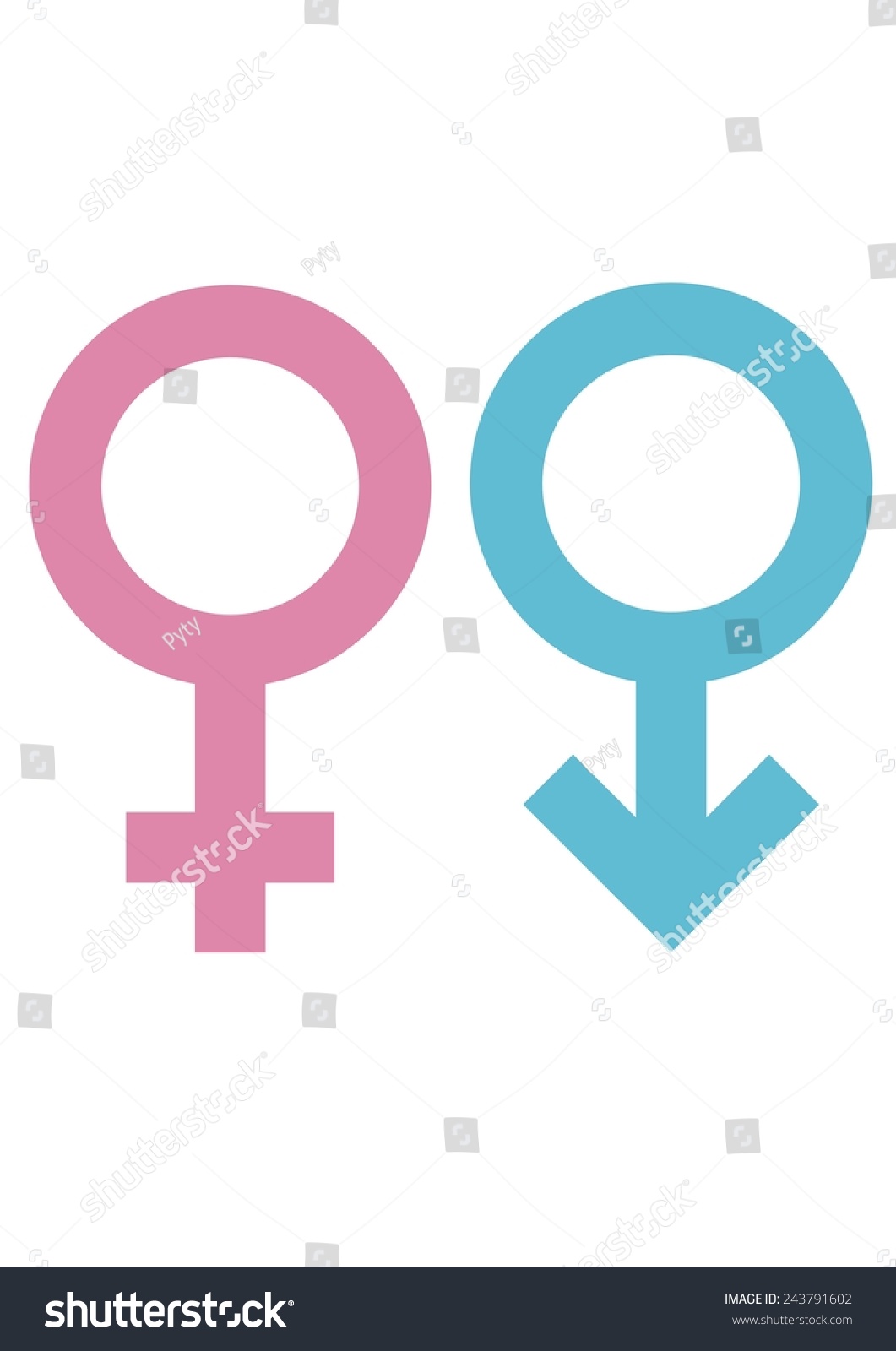 Gender Signs For Male And Female Circles With Cross And Arrow Stock Vector Illustration