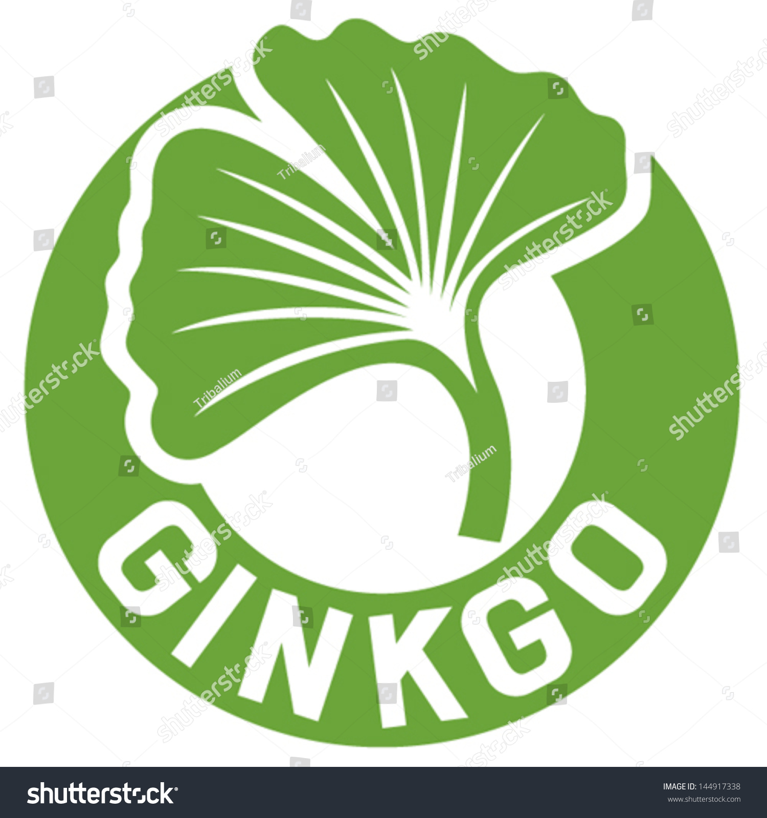 Ginkgo Biloba Symbol Label Stock Vector Illustration 144917338