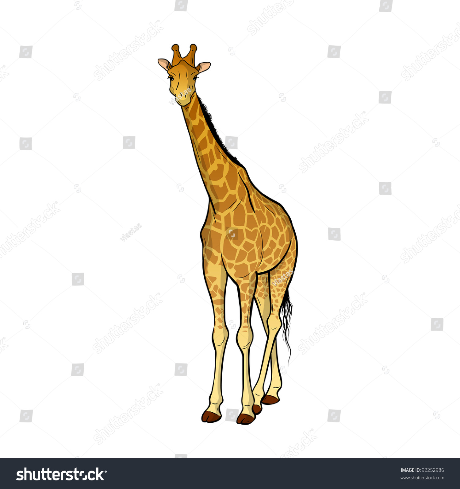 Giraffe Isolated On The White Stock Vector Illustration 92252986