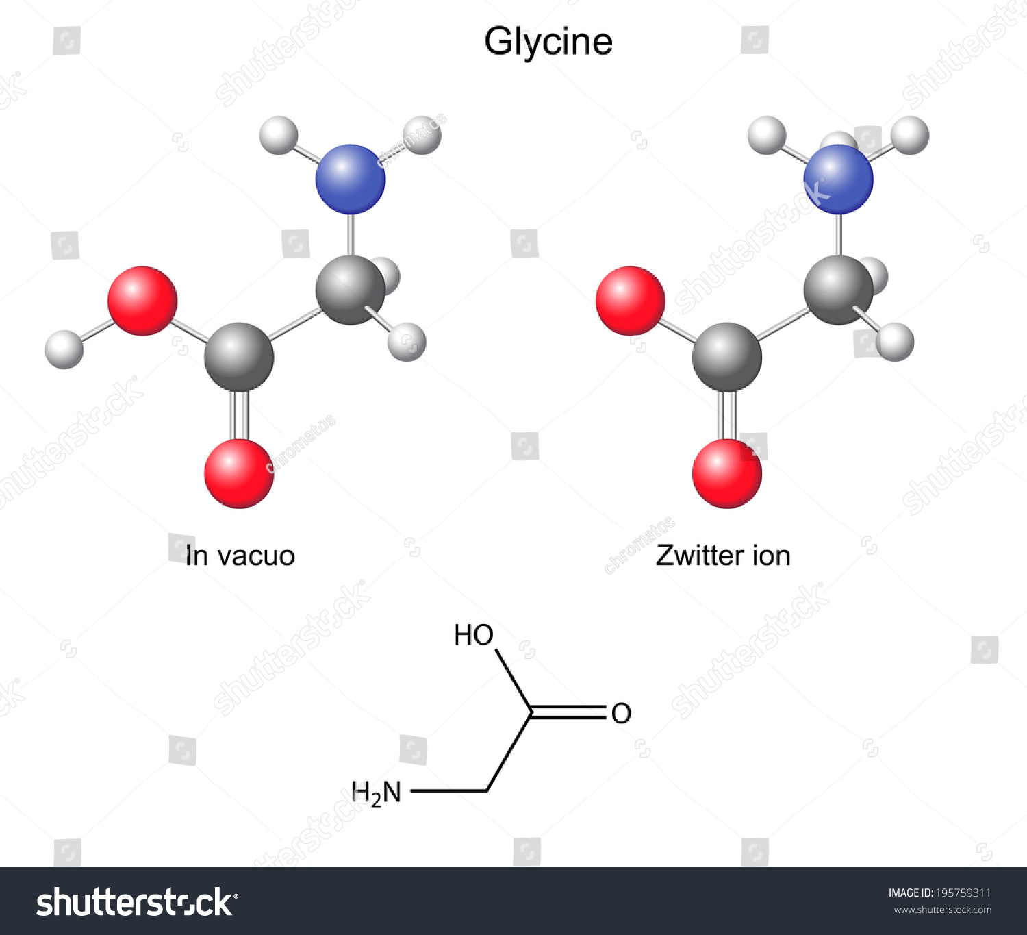 Glycine (Gly) - Chemical Structural Formula And Models, Amino Acid, In Vacuo, Zwitterion, 2d And ...