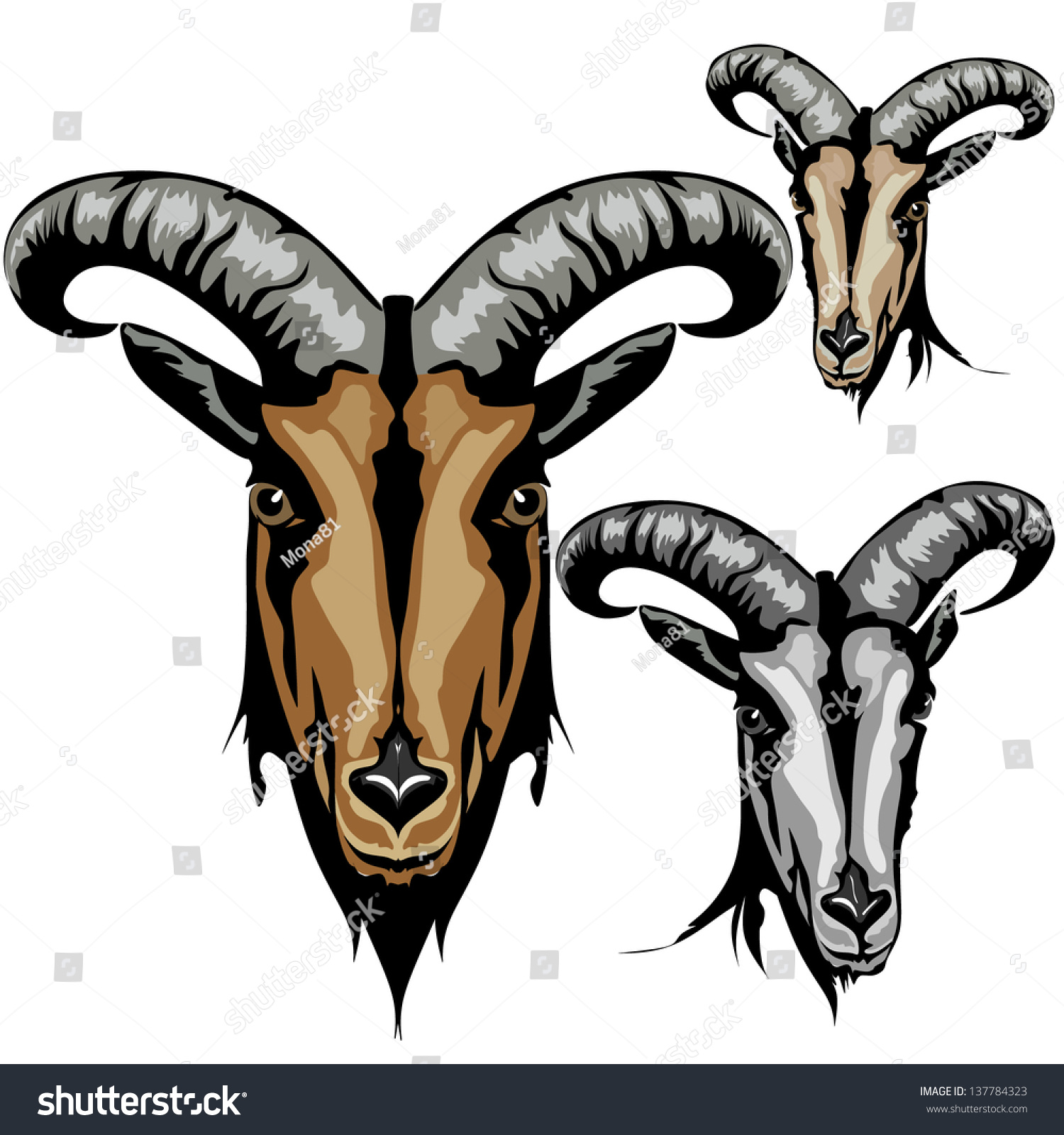 Goat Stock Vector Illustration 137784323 : Shutterstock