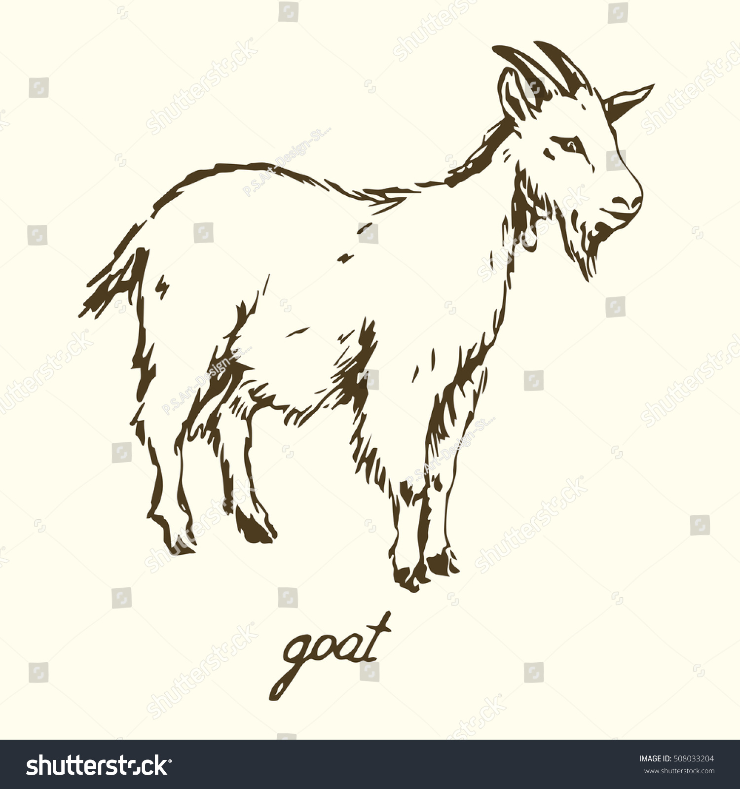 Goat Hand Drawn Vector Illustration