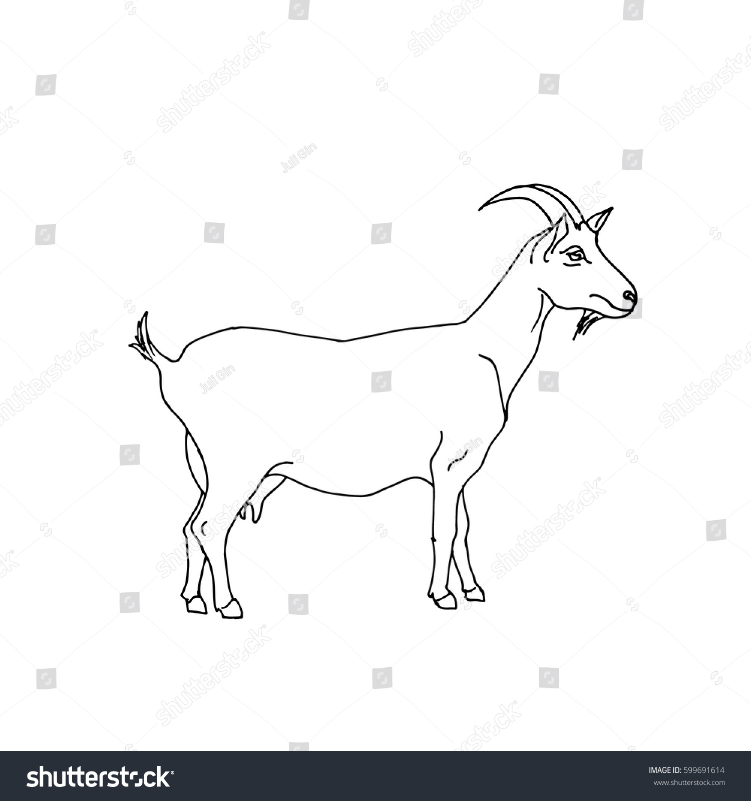 Goat Hand Drawn Vector Illustration Stock Vector Royalty Free