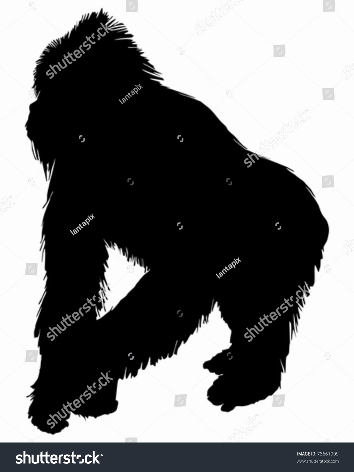 Gorilla Silhouette Stock Vector Illustration Shutterstock