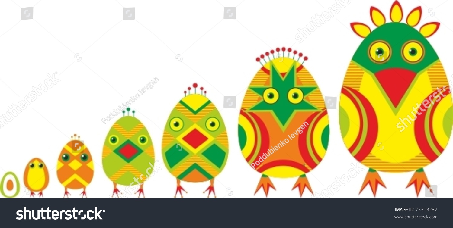 the development of the egg and Stages of development of from a human ovum to a fetus the zygote will contain an x sex chromosome donated from the egg and either an x or y sex chromosome coming. the development of the egg and Stages of development of from a human ovum to a fetus the zygote will contain an x sex chromosome donated from the egg and either an x or y sex chromosome coming.