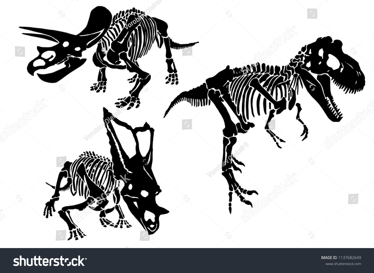 Graphical Set Dinosaur Skeletons Isolated On Stock Vector Royalty Free