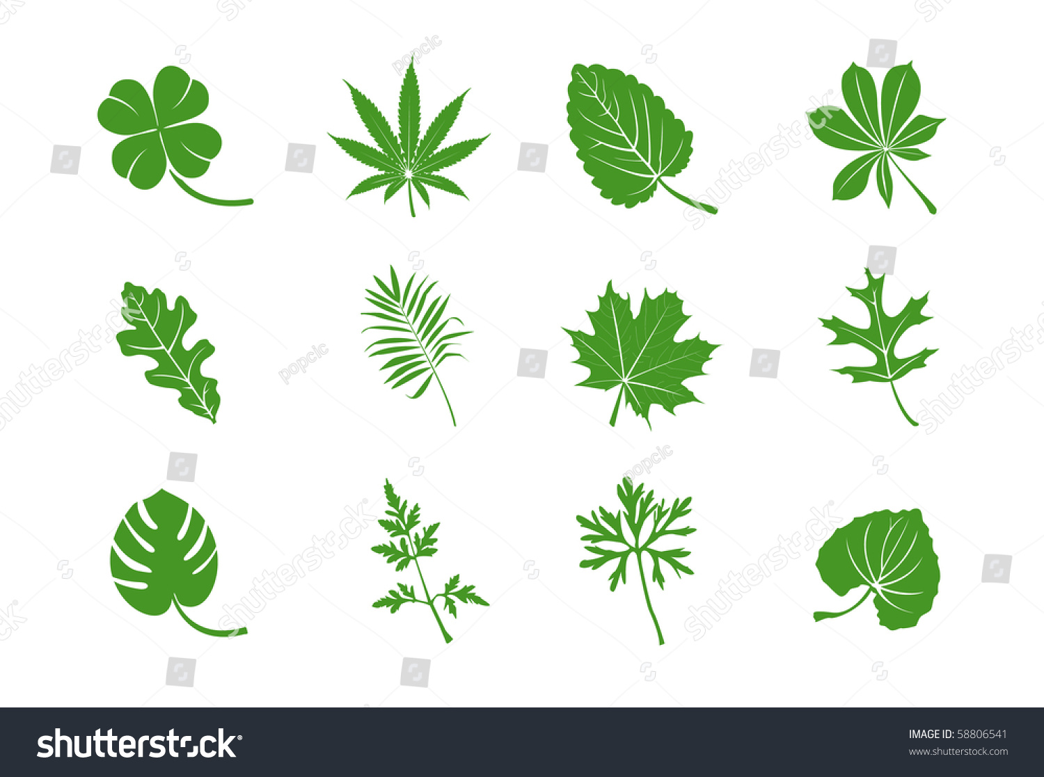 Green Leaves Vector Stock Vector 58806541 - Shutterstock