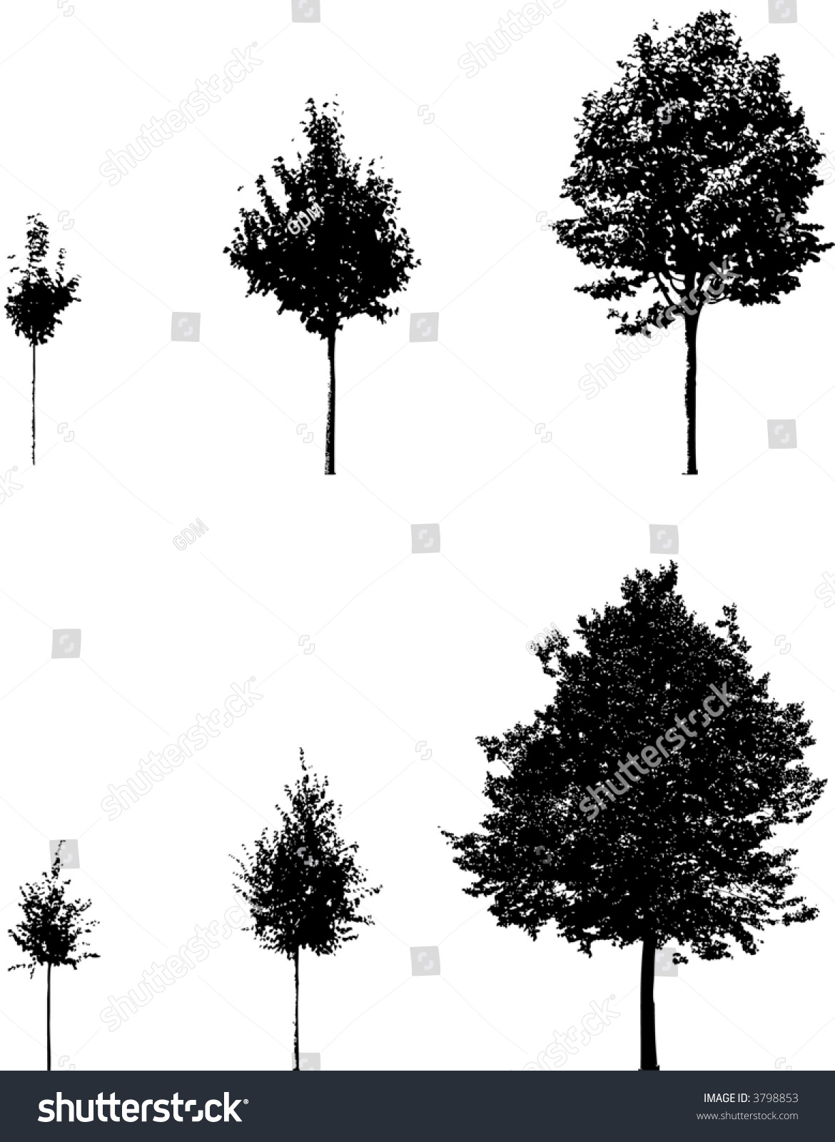 Growing Tree Stock Vector Illustration 3798853 : Shutterstock