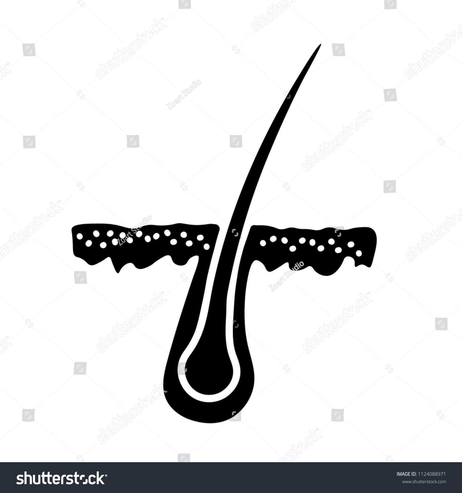 Hair Follicle Icons Stock Vector Royalty Free 1124088971 Shutterstock