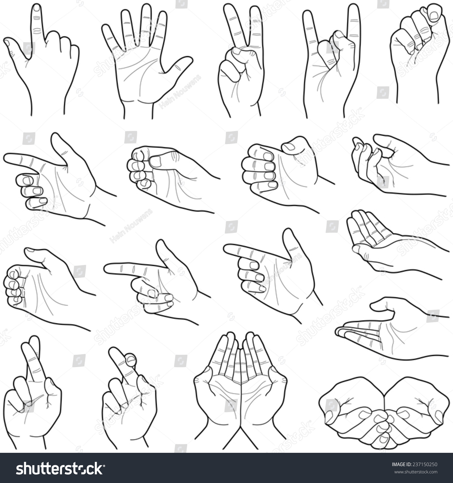 Hand Collection   Vector Line Illustration | Hand Drawing Reference