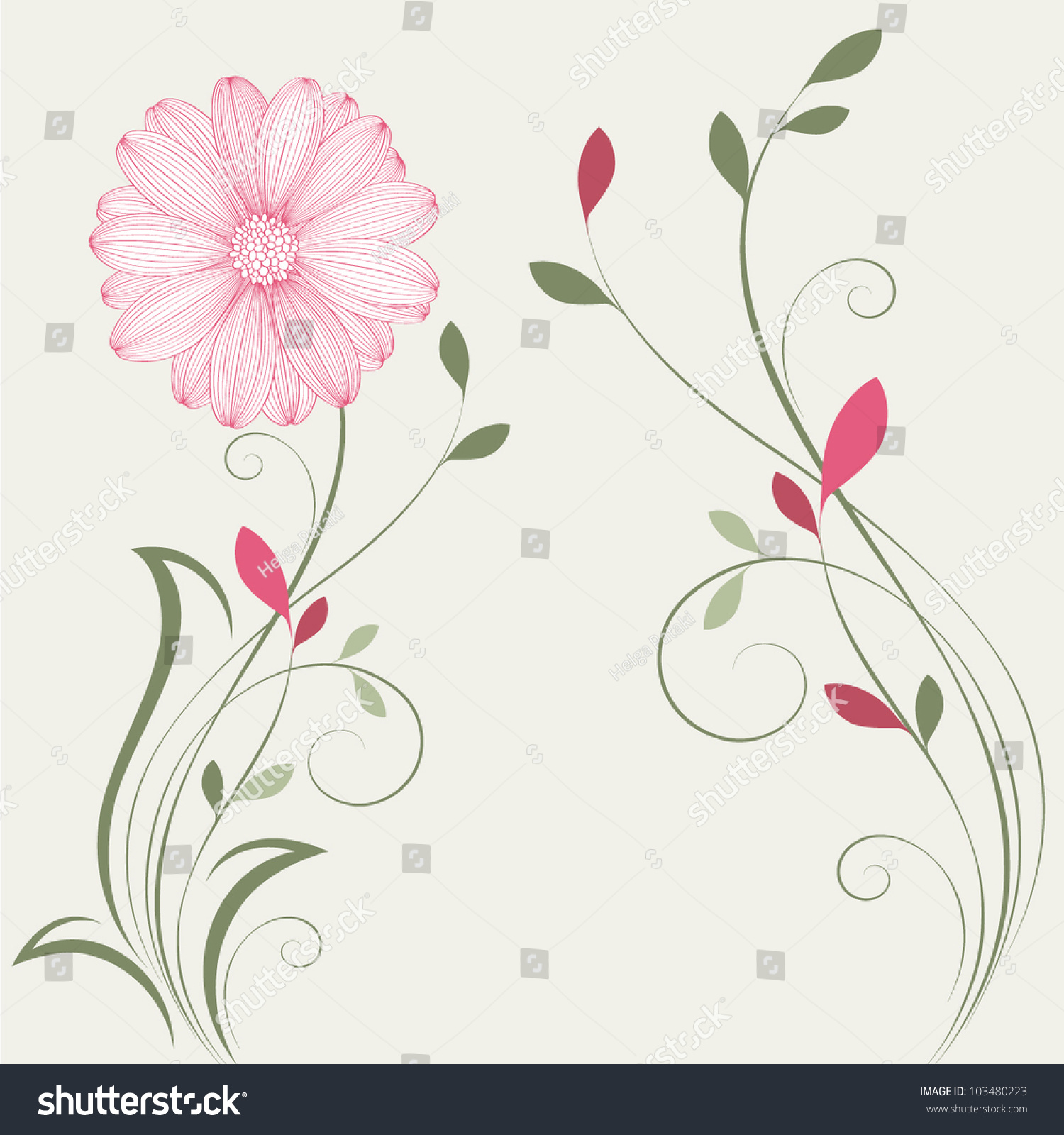 Handdrawing Floral Background Flower Chamomile Element Stock Vector