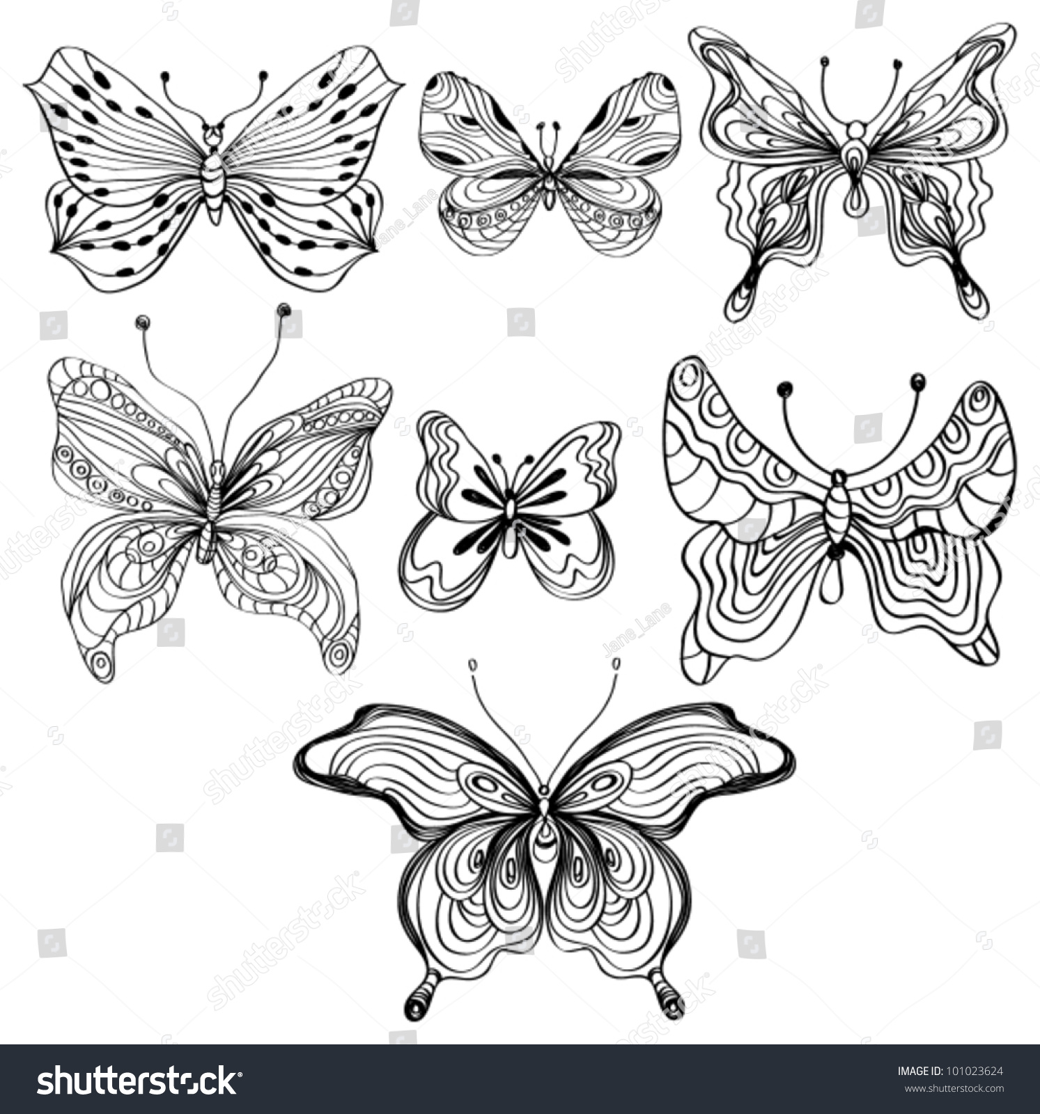 Hand Drawn Beautiful Set Of Butterfly Over White, Vector Illustration 