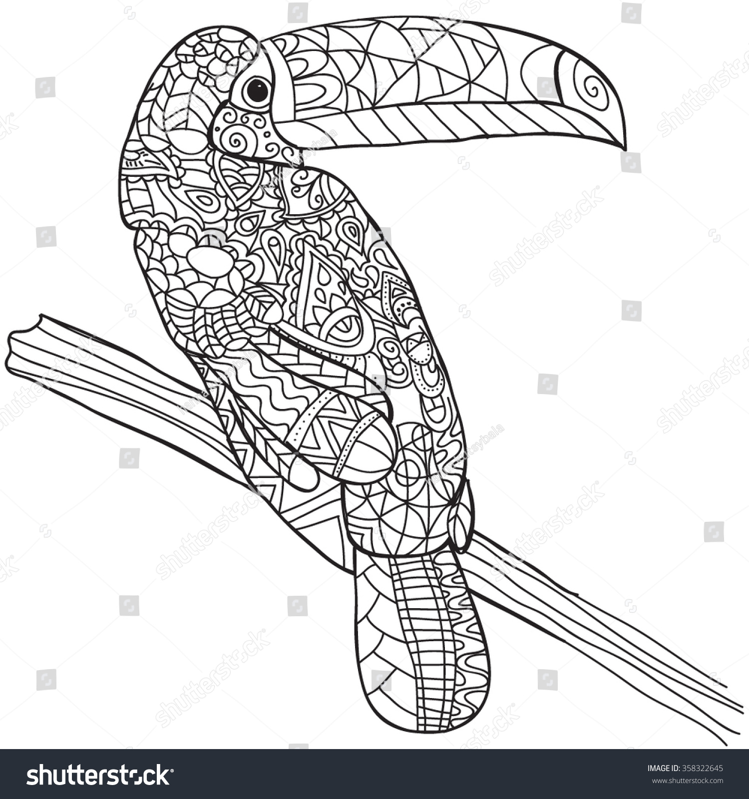 Adult Top Toucan Coloring Pages Images beauty hand drawn bird toucan isolated on transparent background anti stress coloring page vector monochrome sketch 35832264
