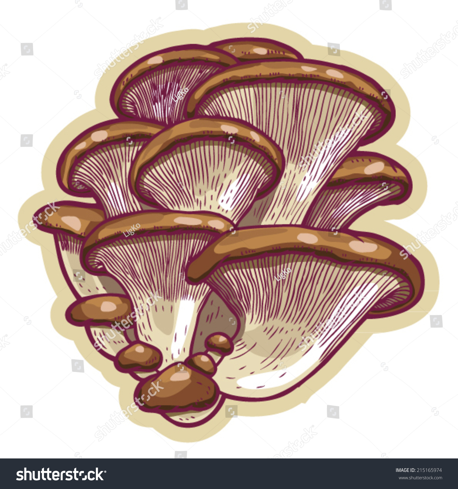 oyster mushroom clip art - photo #6