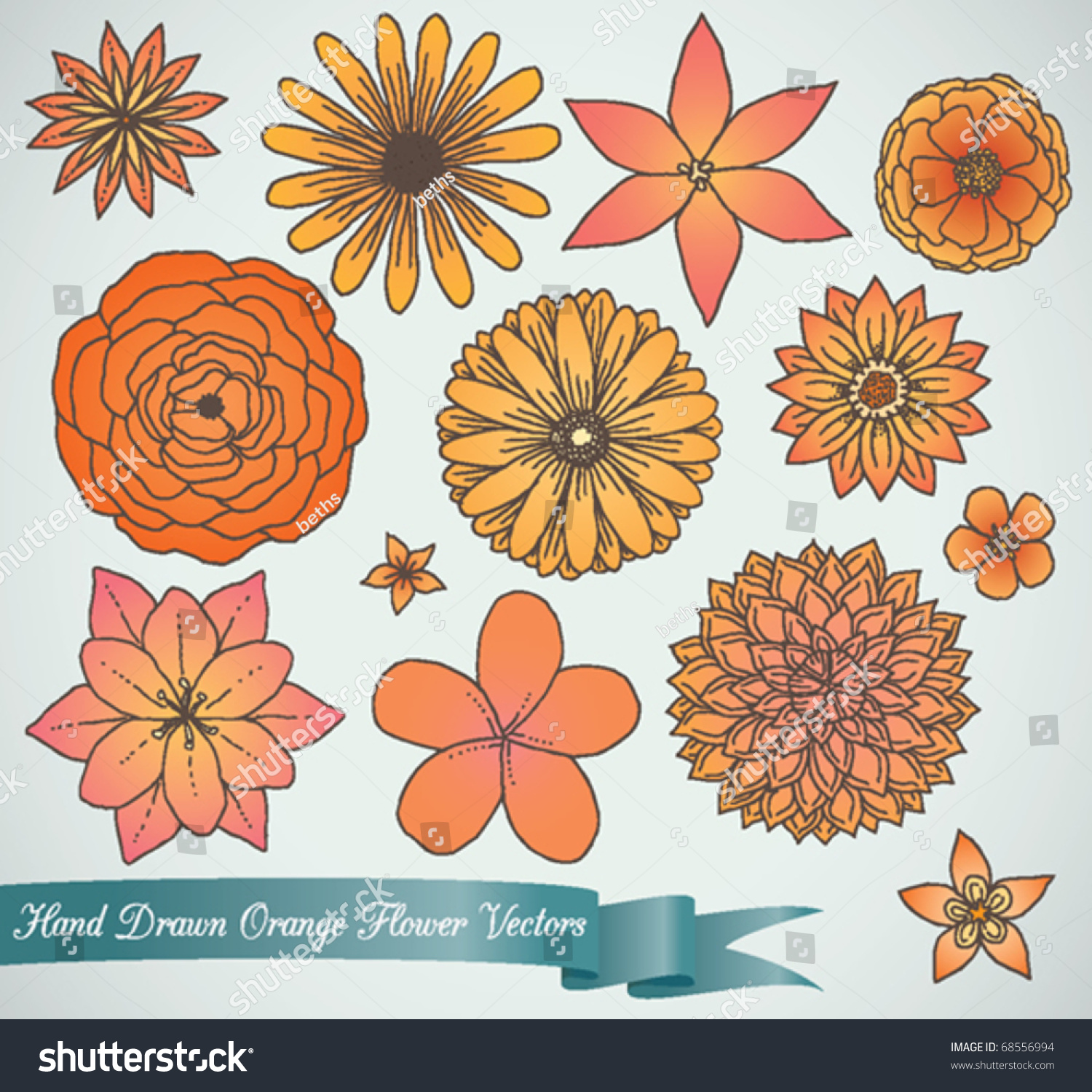 Hand Drawn Orange Flower Vectors Done In A Vintage Style. 68556994