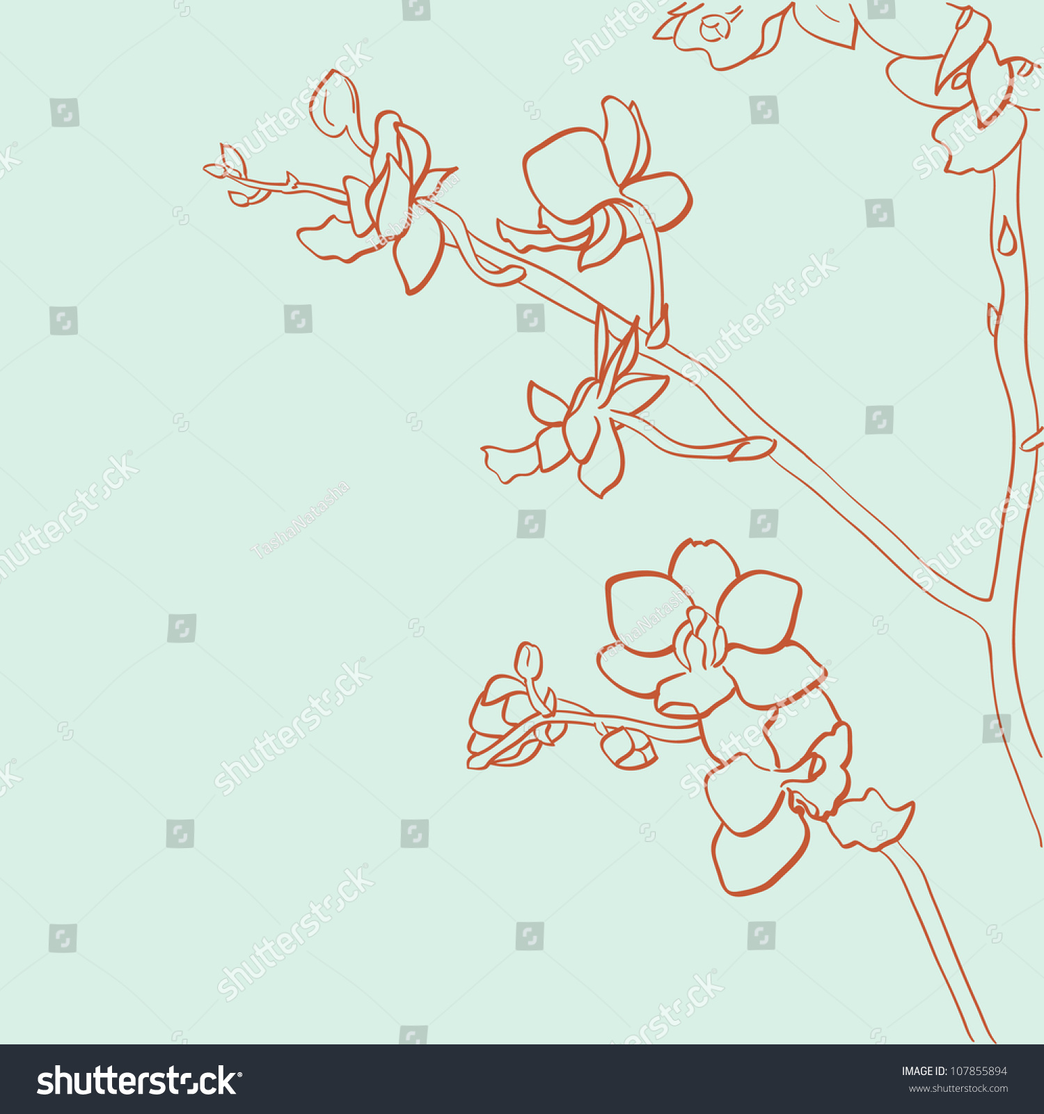 Orchid Drawing Outline
