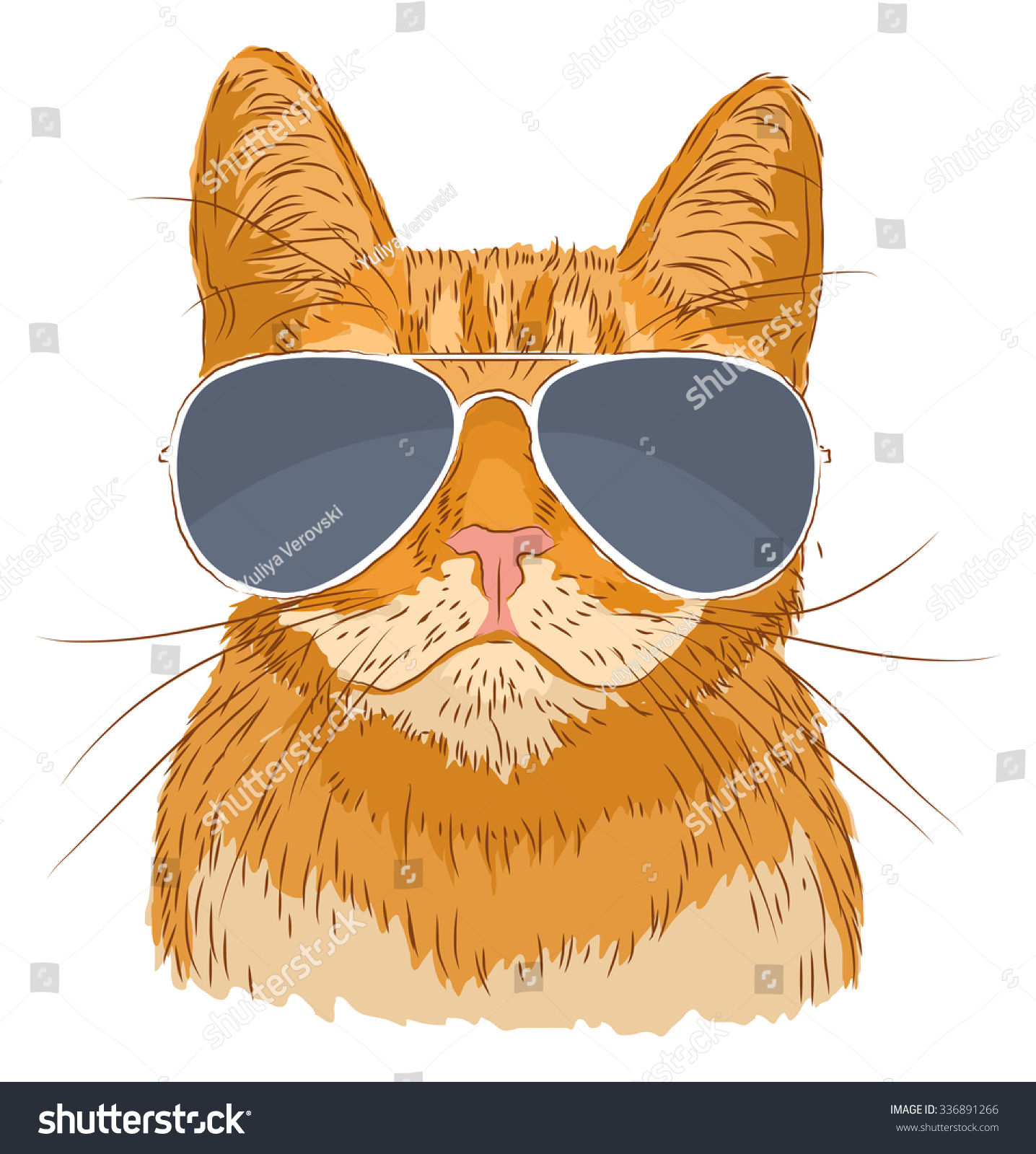 Hand Drawn Portrait Of Cat With Sunglasses. Vector Isolated Elements