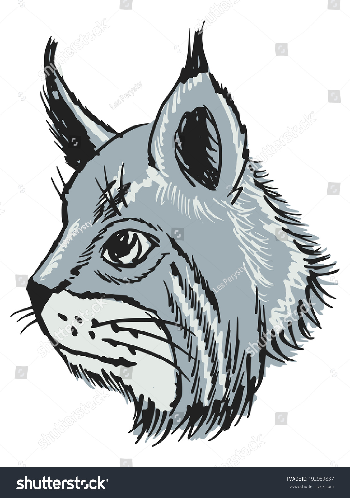 Hand Drawn Sketch Cartoon Illustration Of Lynx 192959837 Shutterstock