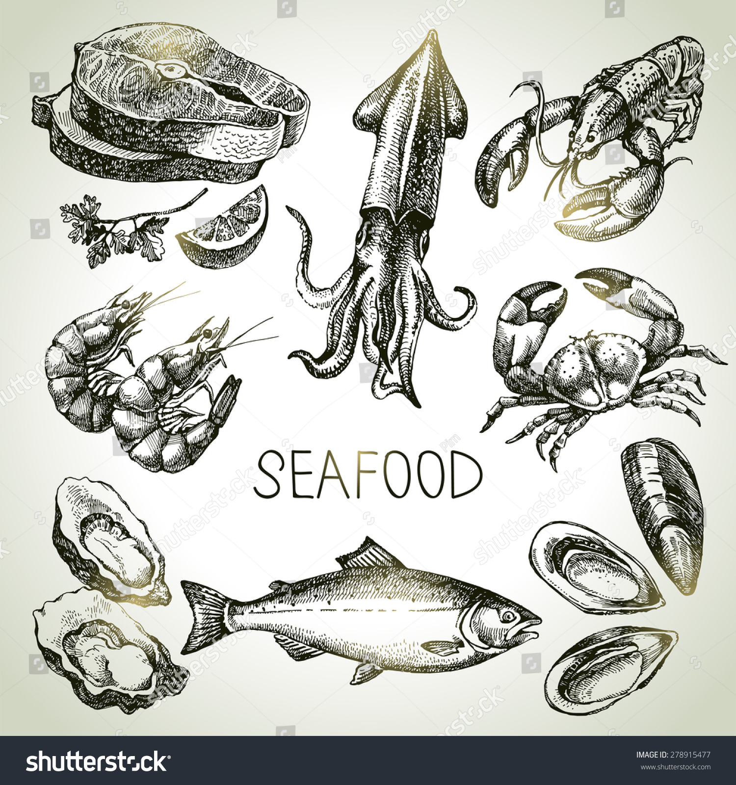 Hand Drawn Sketch Set Seafood Vector Stock Vector Royalty Free