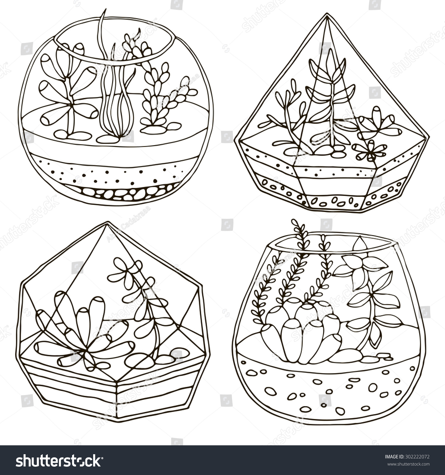 Hand Drawn Terrarium Succulent Plant Stock Vector Royalty Free