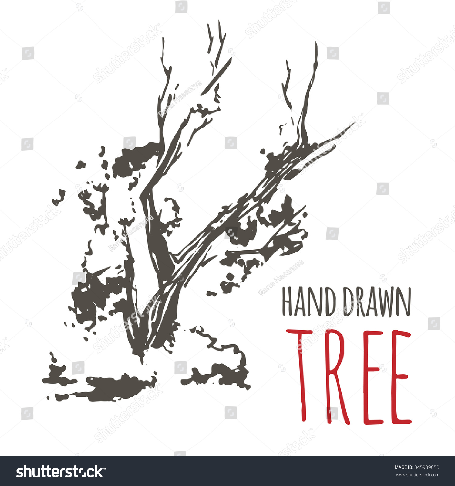 Hand Drawn Tree Japanese Tree Vector Stock Vector 345939050 - Shutterstock