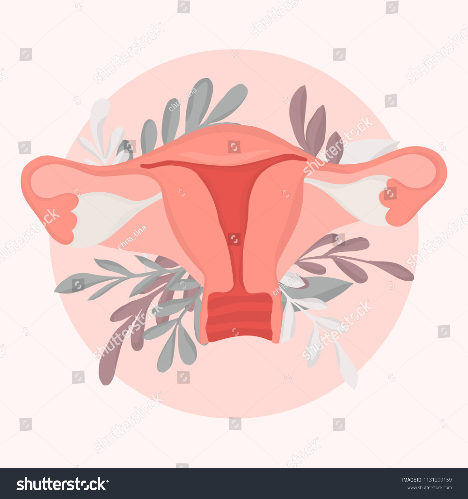 Hand Drawn Vector Illustration Female Reproductive Stock Vector Royalty Free