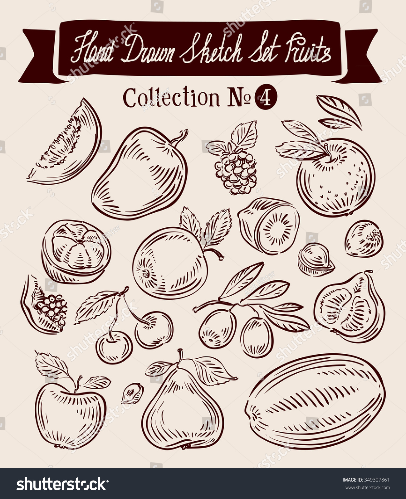 Hand Drawn Vector Sketch Set Fruit Shutterstock