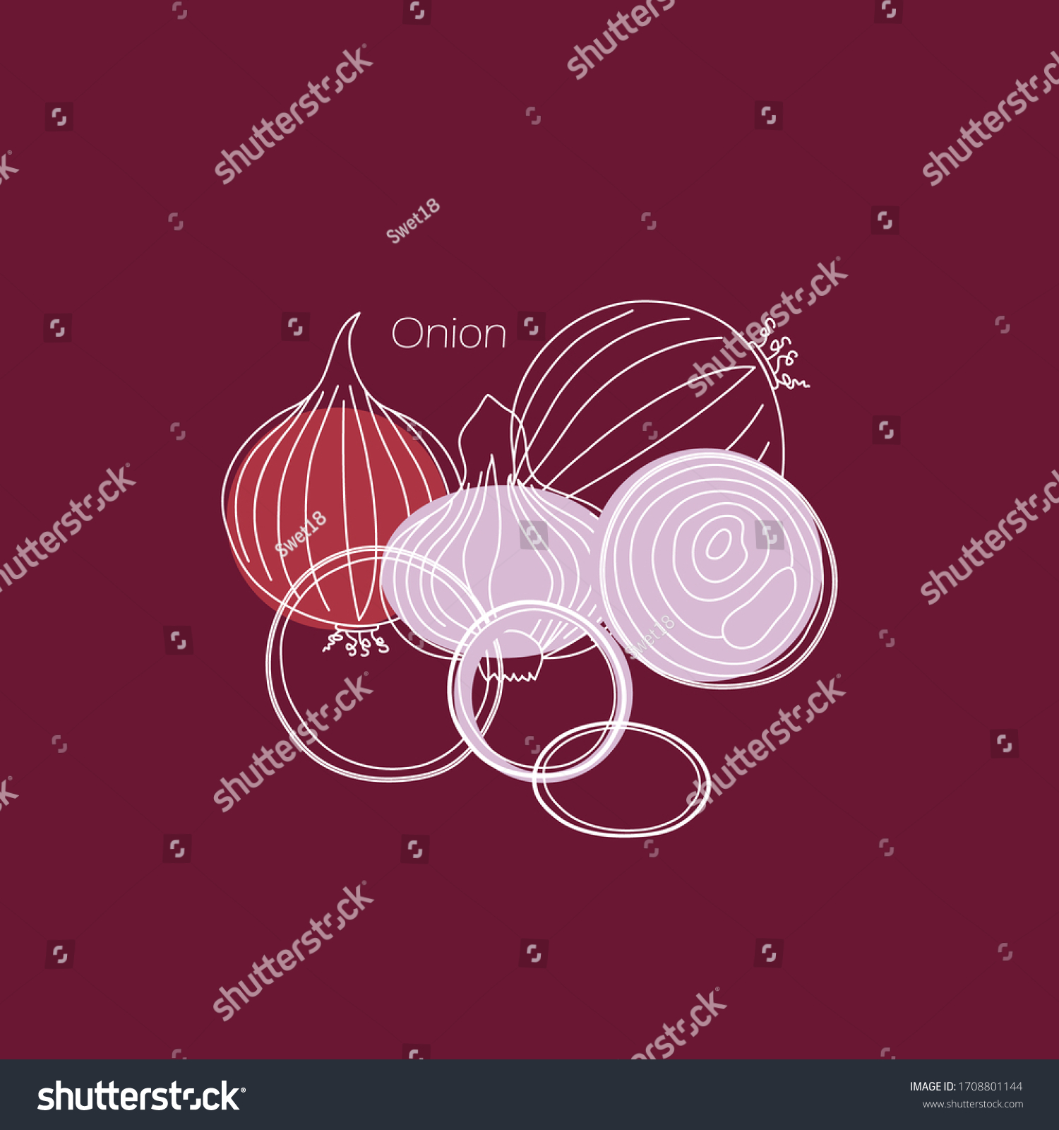 Hand Line Drawing Vector Onion Vegetable Stock Vector Royalty Free