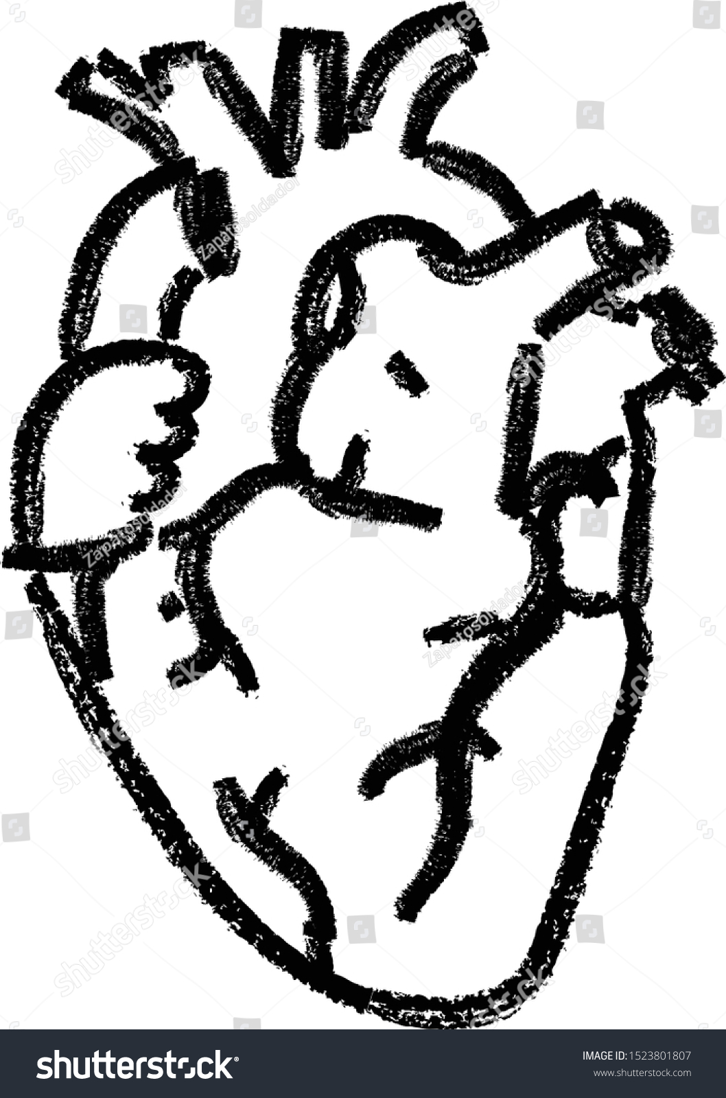 Heart Anatomy Hand Drawn Crayon Doodle Stock Vector Royalty Free