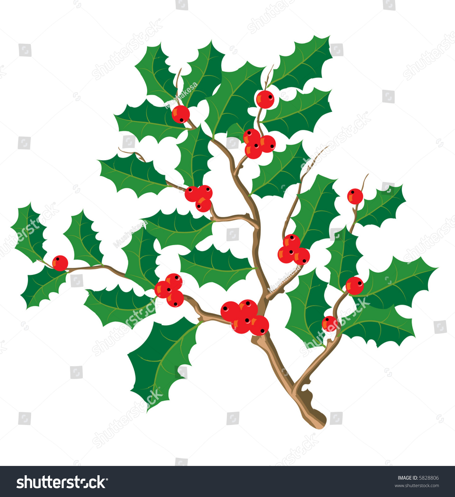 Holly Branch Stock Vector Illustration 5828806 : Shutterstock