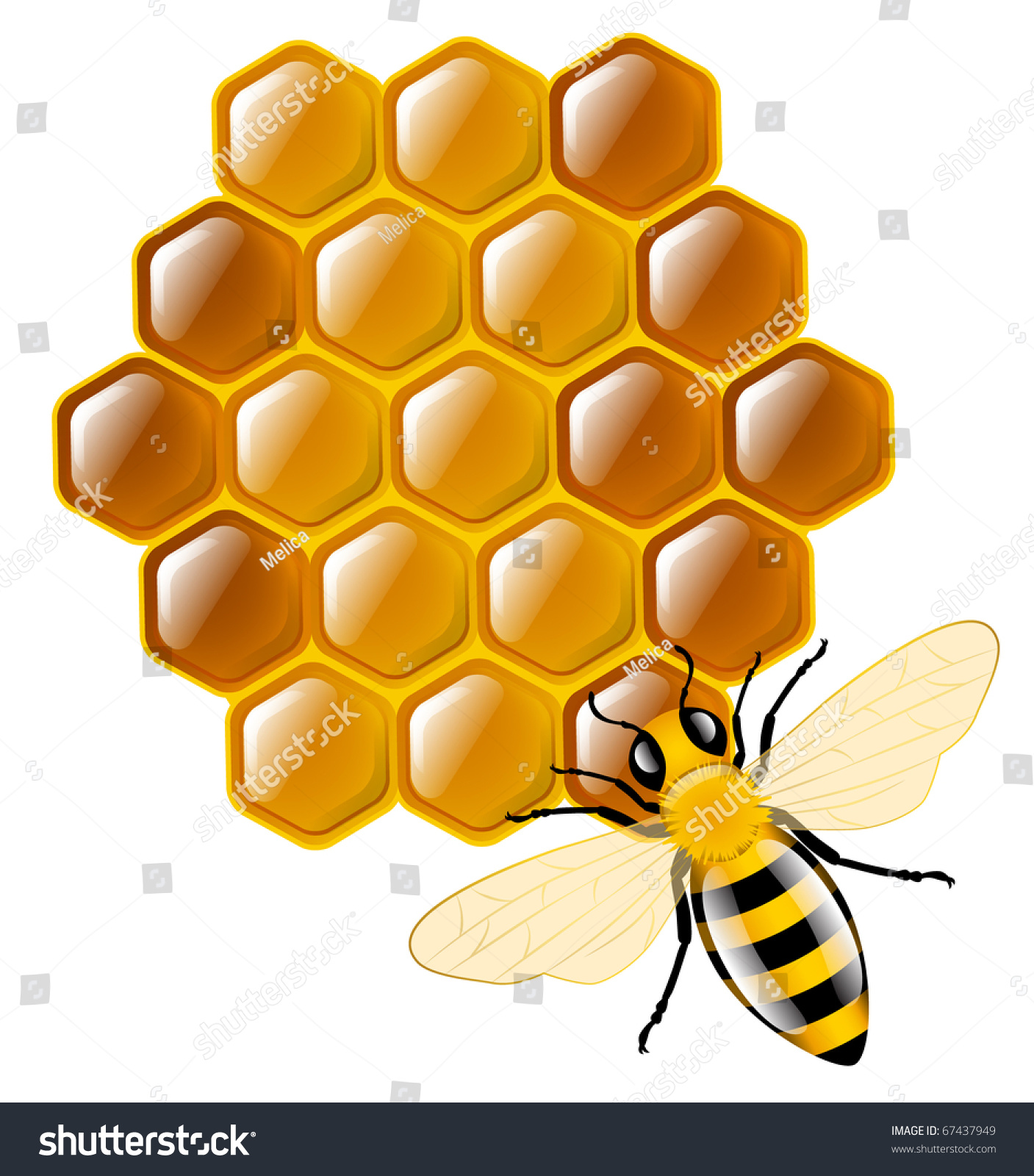 honey bee clipart ai - photo #33