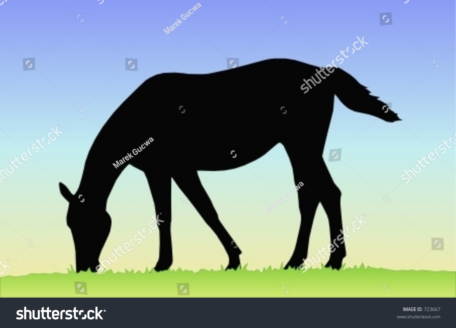 Horse Eating Grass Stock Vector Illustration 723667 Shutterstock