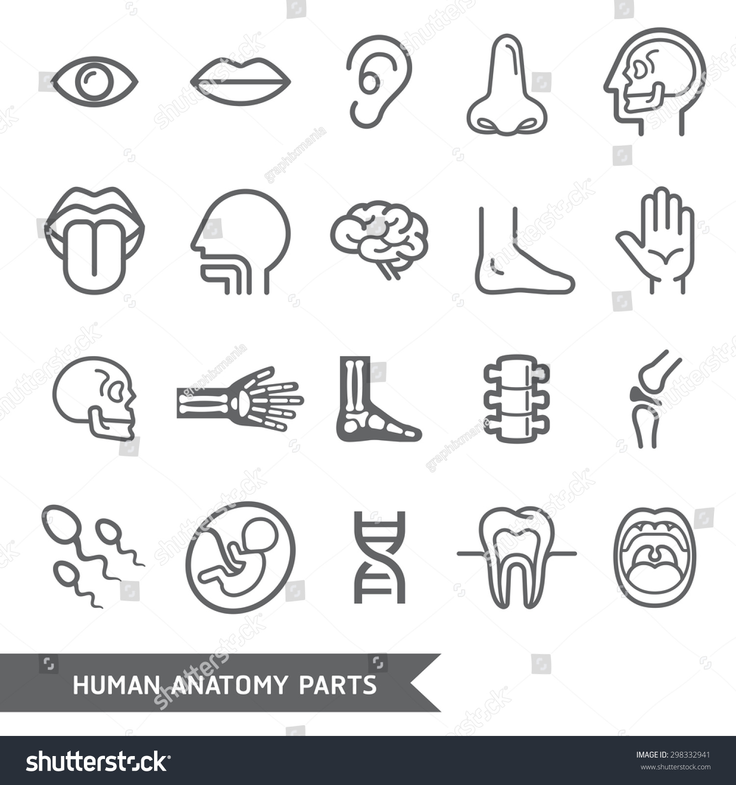 clipart human body parts - photo #48