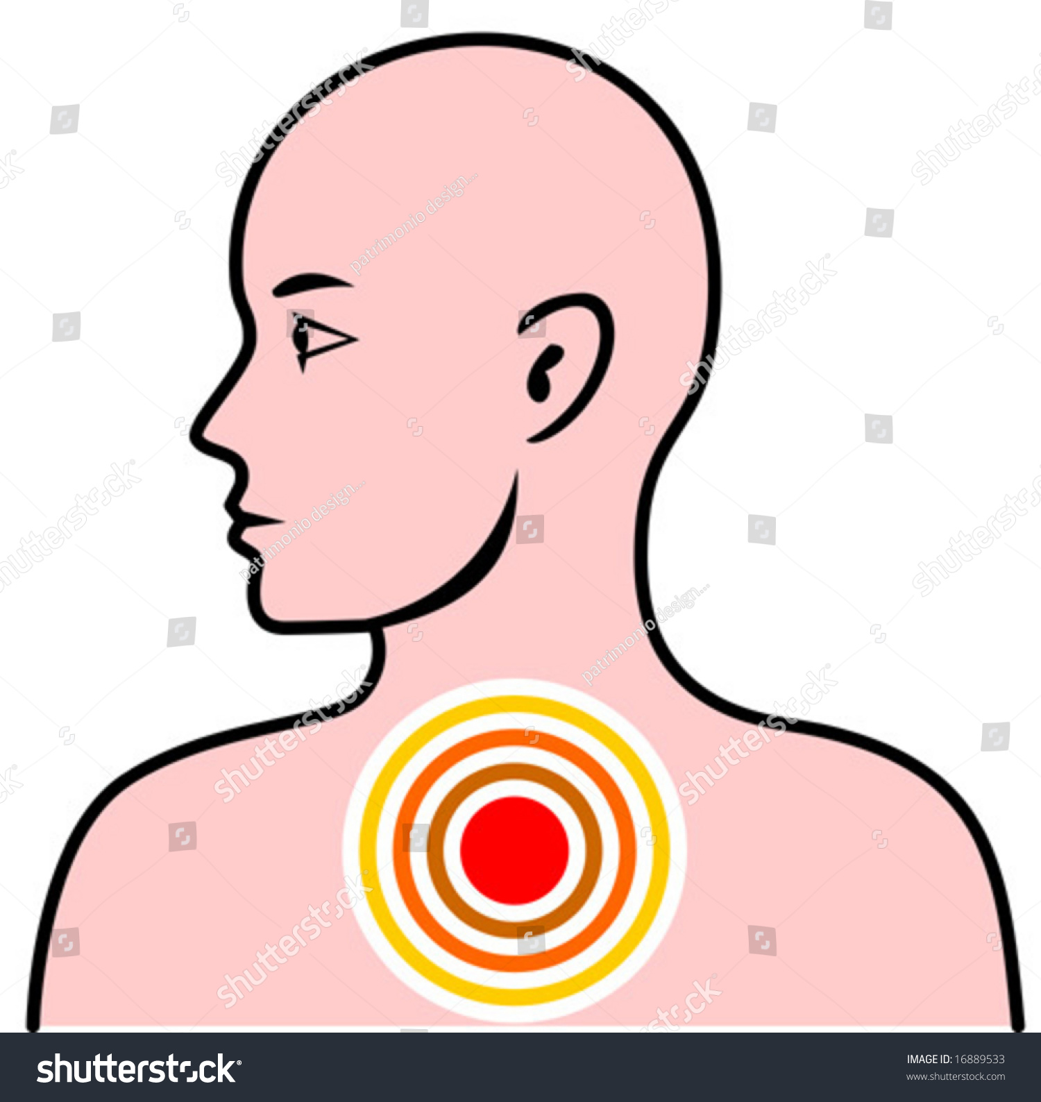 Human Anatomy Side Profile Stock Vector Illustration 16889533