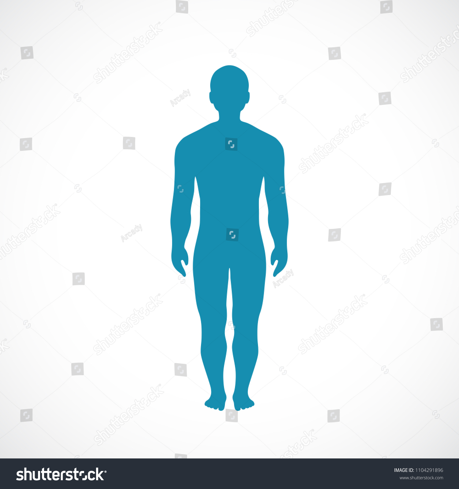 Human Body Shape Vector Illustration Isolated Stock Vector Royalty