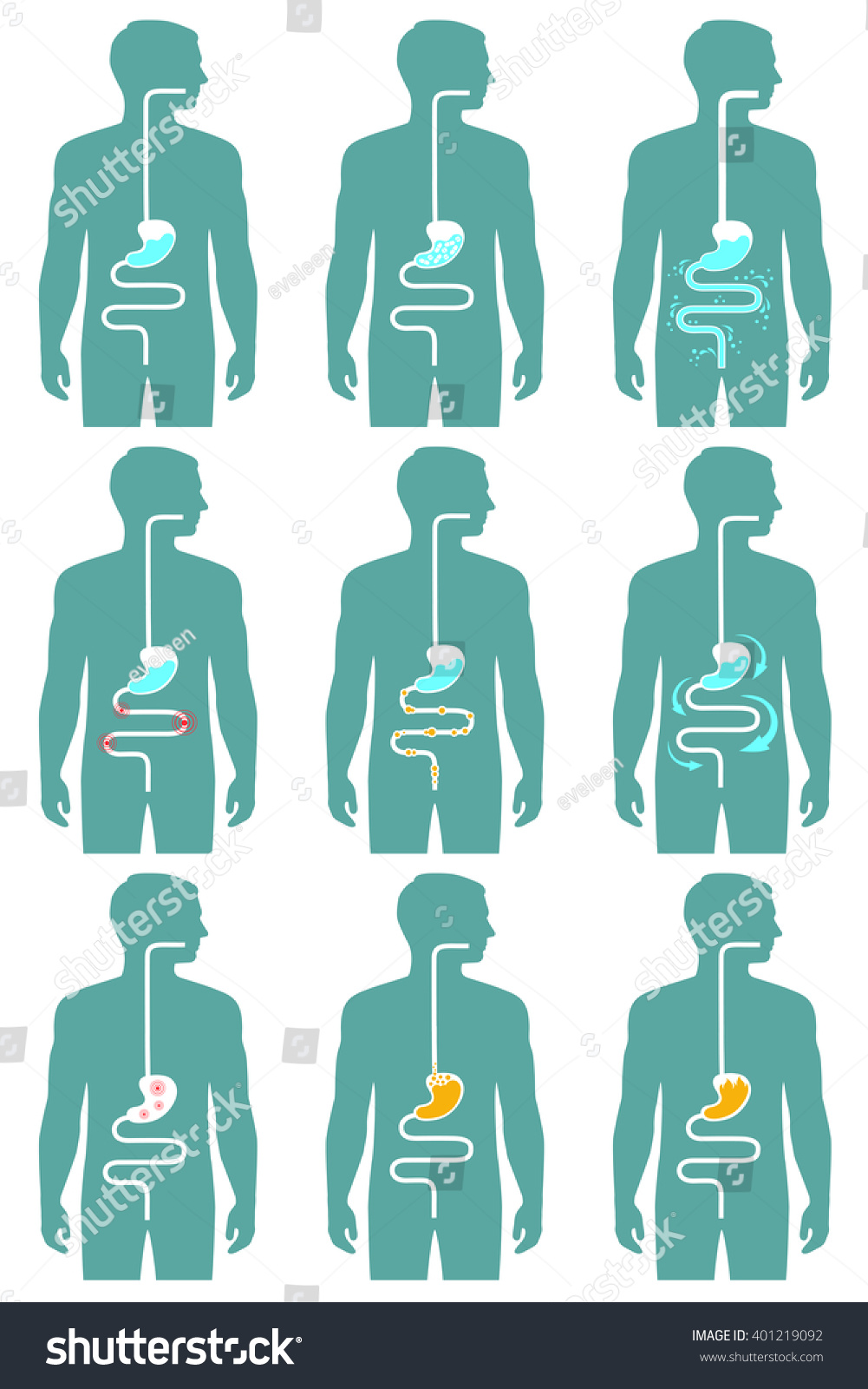 Stock Vektor Human Digestive System Vector Illustration Digestion