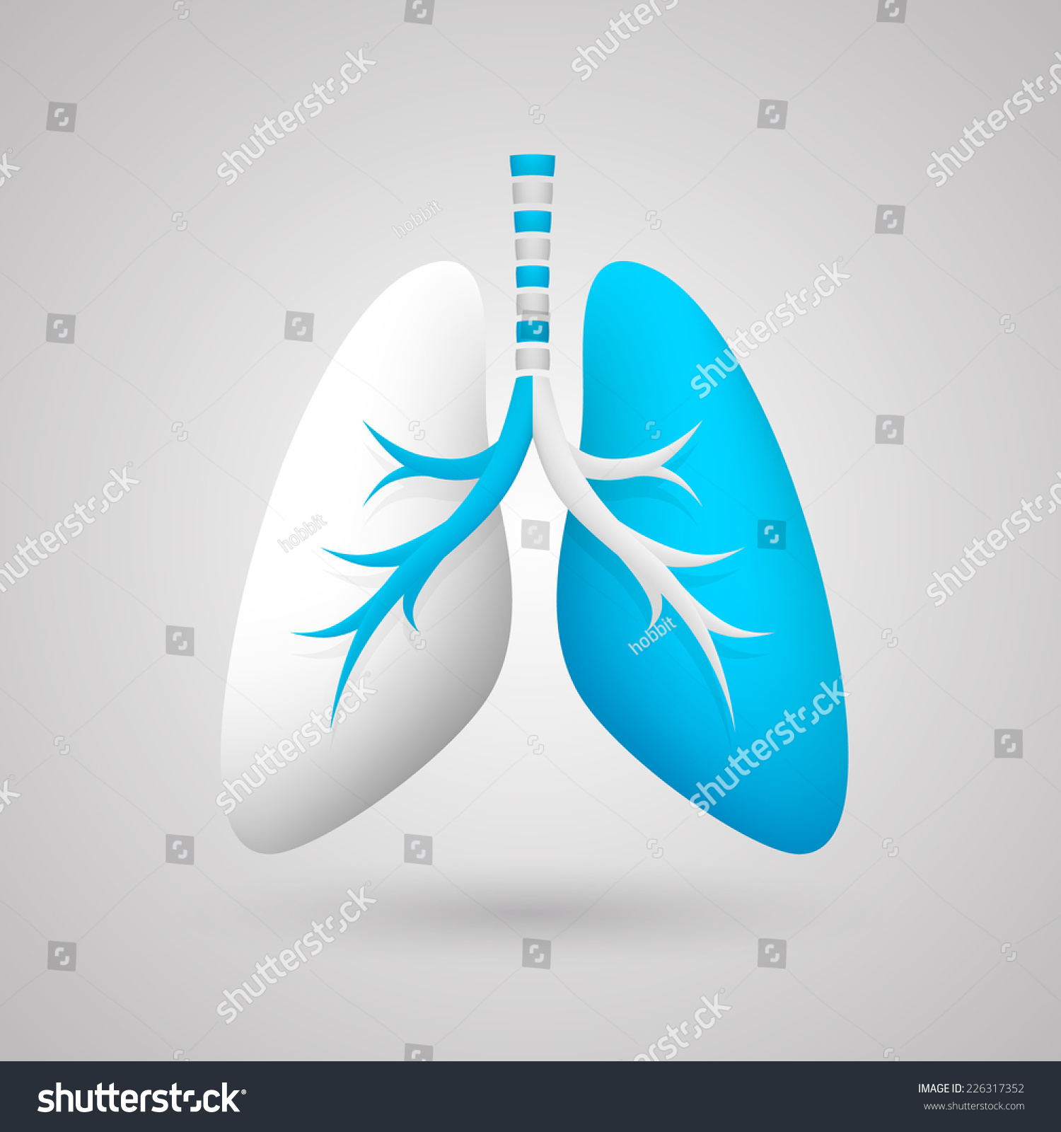 Human Lungs Lungs Icon D Lungs Stock Vector Royalty Free