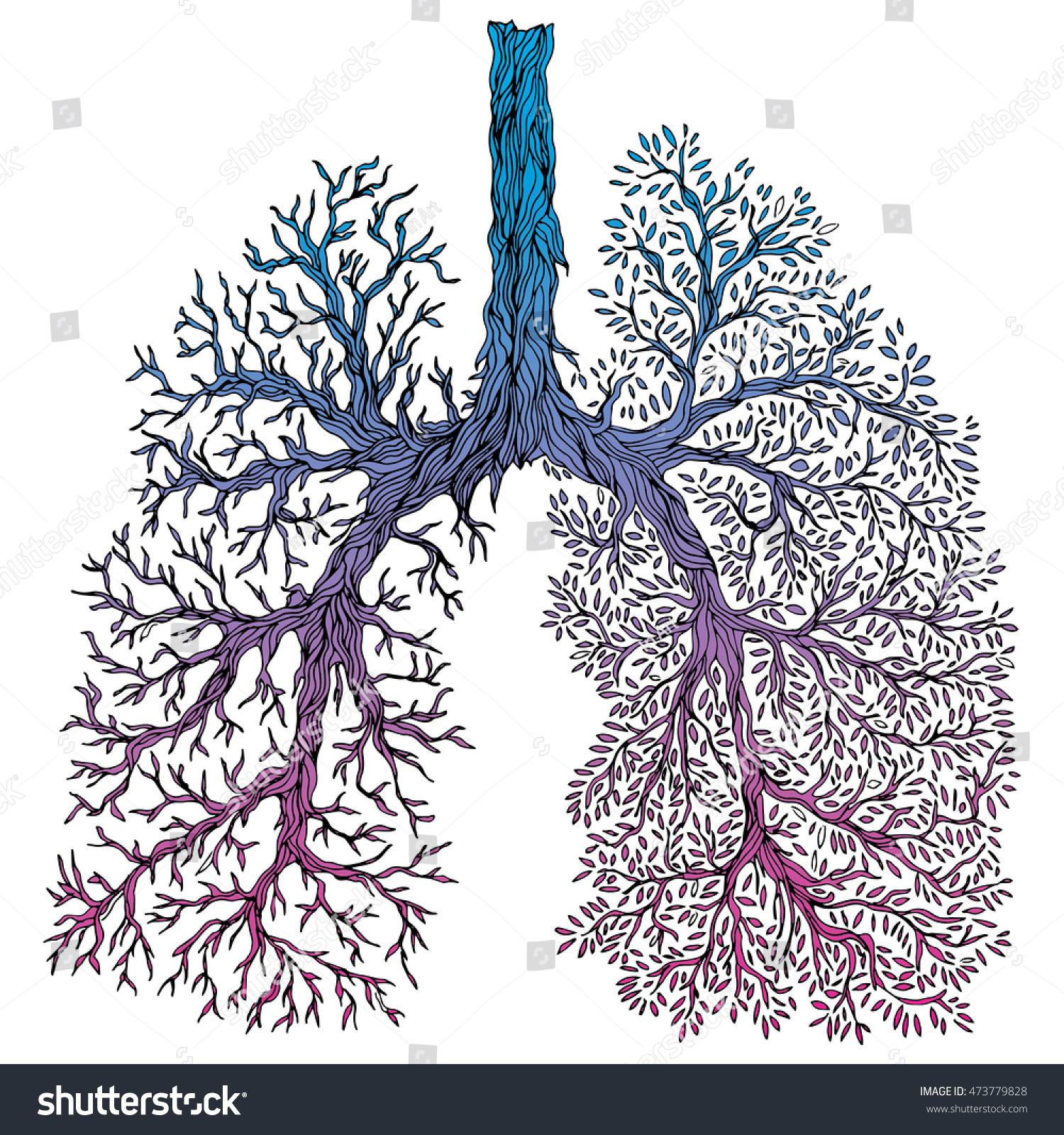 Human Lungs Respiratory System Healthy Lungs Light In The Form Of A